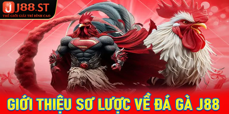 Giới thiệu sơ lược chung về sảnh đặt cược đá gà j88