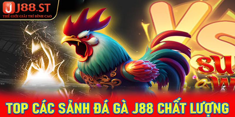 Top các sảnh đá gà chất lượng được j88 phát hành