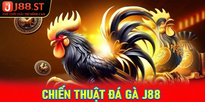 Chiến thuật đá gà J88 vô cùng hiệu quả từ các lão làng lâu năm